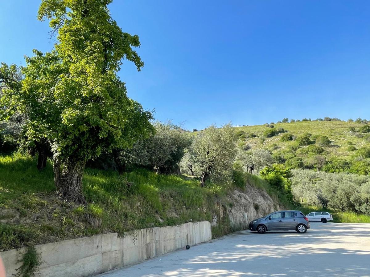 Agriturismo Torre Ercolana Anagni Eksteriør bilde